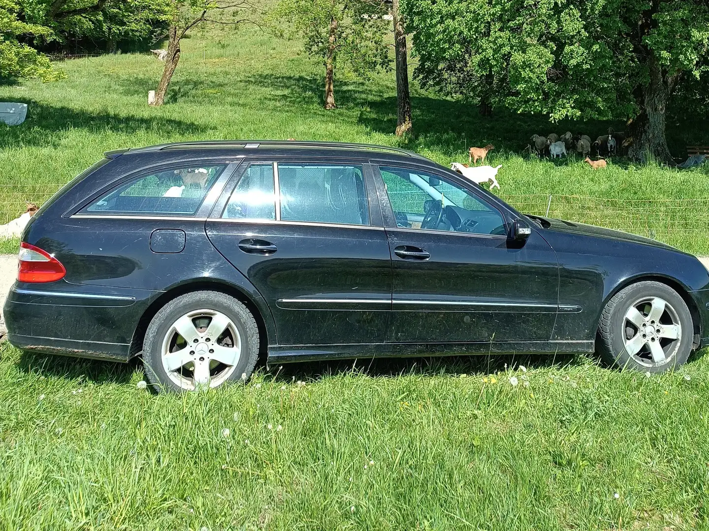 Mercedes-Benz E 220 T CDI Automatik Avantgarde Schwarz - 1