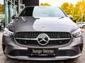 Mercedes-Benz B 200 Progressive Totwinkel/Verkehrszeichen/Wint Grau - thumbnail 10