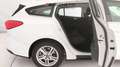 Ford Focus 4ª SERIE 1.5 ECOBLUE 120 CV SW BUSINESS Bianco - thumbnail 22
