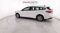 Ford Focus 4ª SERIE 1.5 ECOBLUE 120 CV SW BUSINESS Bianco - thumbnail 4