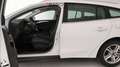 Ford Focus 4ª SERIE 1.5 ECOBLUE 120 CV SW BUSINESS Bianco - thumbnail 10