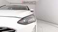 Ford Focus 4ª SERIE 1.5 ECOBLUE 120 CV SW BUSINESS Bianco - thumbnail 6
