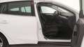 Ford Focus 4ª SERIE 1.5 ECOBLUE 120 CV SW BUSINESS Bianco - thumbnail 23
