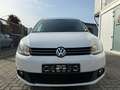 Volkswagen Caddy Kasten/Kombi Maxi Kasten Trendline Weiß - thumbnail 2
