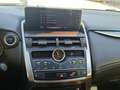 Lexus NX 300 300h F Sport 4WD Schwarz - thumbnail 24