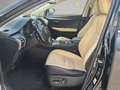 Lexus NX 300 300h F Sport 4WD Schwarz - thumbnail 15