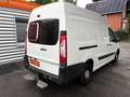 Peugeot Expert Kasten L2H2 Kasten Klima Tempomat Blanco - thumbnail 5