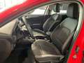 Ford Focus Cool & Connect Winter-P. PDC vorne + hinten Rood - thumbnail 11