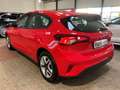 Ford Focus Cool & Connect Winter-P. PDC vorne + hinten Rood - thumbnail 4