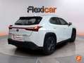 Lexus UX 250h 2.0 Business Gris - thumbnail 7