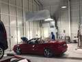 Mercedes-Benz CLK 430 Einmalig Top Optik Cabrio Avantgarde 430  V8 - thumbnail 1