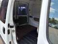 Renault Kangoo Express 1.9D Confort 55 APK 17-04-2026 Bianco - thumbnail 12