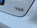 Audi A3 1.6 tdi Young Edition 90cv ADATTA NEOPATENTATI Blanc - thumbnail 17