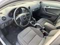 Audi A3 1.6 tdi Young Edition 90cv ADATTA NEOPATENTATI Blanc - thumbnail 13