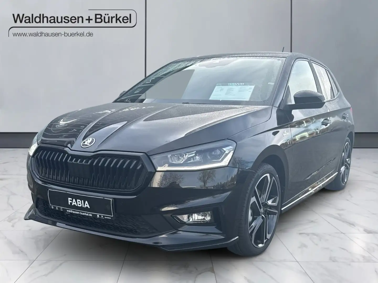 Skoda Fabia 1.5 TSI Monte Carlo Klima Navi Rückfahrkamera Noir - 1