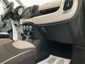 Fiat 500L 1.3 mjt Pop Star 95cv Blanco - thumbnail 9