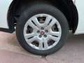 Fiat Doblo CARGO 1.3l MULTIJET 95 CV PACK PROFESSIONAL TRIO N Blanc - thumbnail 11