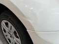 Fiat Doblo CARGO 1.3l MULTIJET 95 CV PACK PROFESSIONAL TRIO N Blanc - thumbnail 40