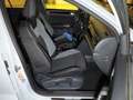 Volkswagen T-Roc 2.0 TSI OPF 4MOT DSG7 R AHK Navi ACC LM19 Blanco - thumbnail 11