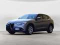 Alfa Romeo Stelvio 2.2 Turbodiesel 160 CV AT8 RWD Business Grigio - thumbnail 2