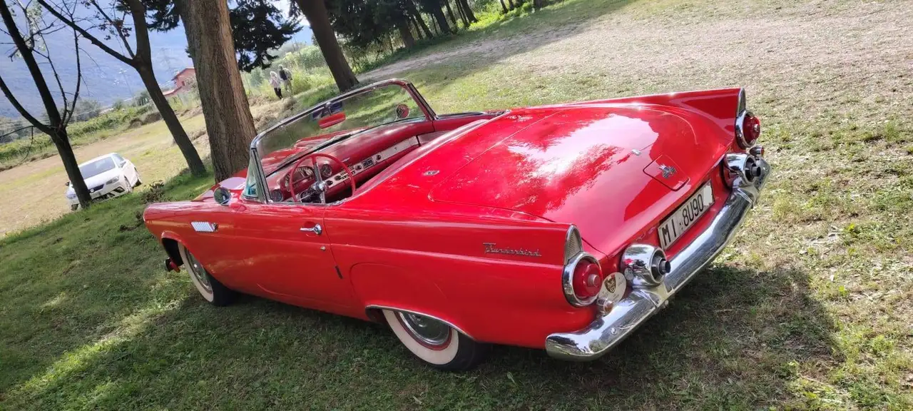 Ford Thunderbird spider, foto 2