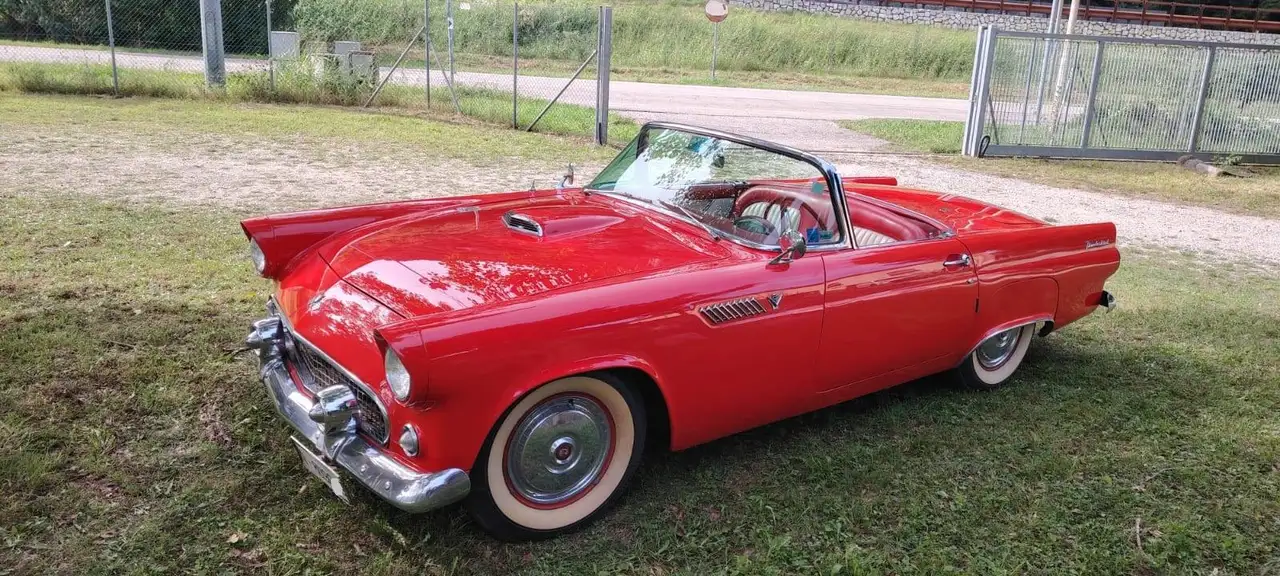 Ford Thunderbird spider, foto 3