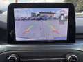 Ford Focus Focus 1.0 EcoBoost 125 CV 5p. Active Grigio - thumbnail 14
