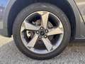 Ford Focus Focus 1.0 EcoBoost 125 CV 5p. Active Grigio - thumbnail 7