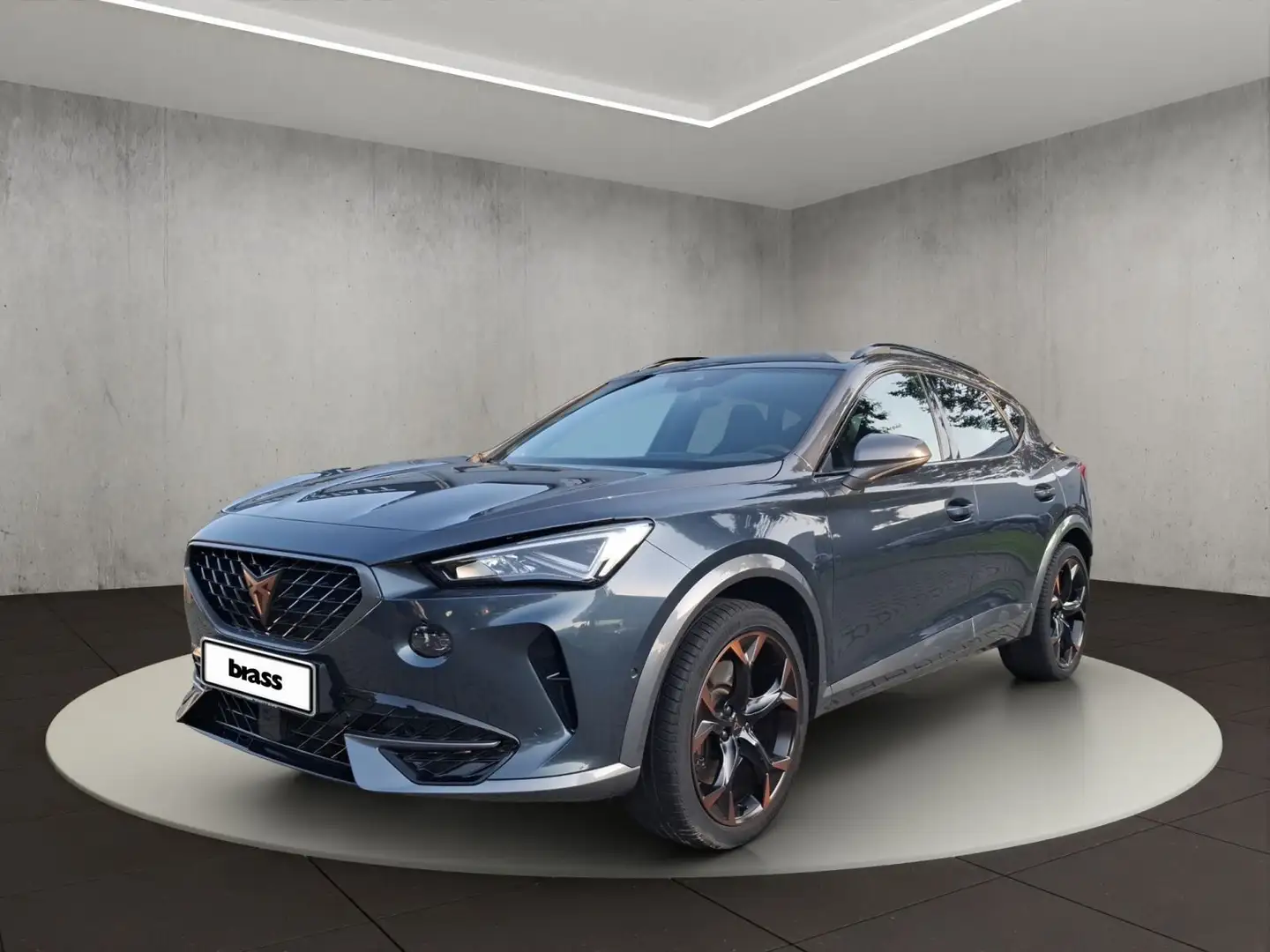 CUPRA Formentor VZ Grau - 1