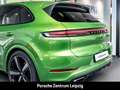 Porsche Cayenne SportDesign FnW Javagrün! Sitzklima AHK Grün - thumbnail 13