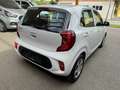Kia Picanto Attract 1,0 MPI Titan Weiß - thumbnail 7