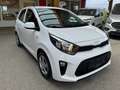 Kia Picanto Attract 1,0 MPI Titan Weiß - thumbnail 3