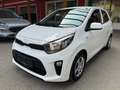 Kia Picanto Attract 1,0 MPI Titan Weiß - thumbnail 1