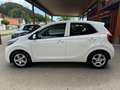 Kia Picanto Attract 1,0 MPI Titan Weiß - thumbnail 4