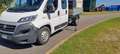 Fiat Ducato MAXI 35 LH1 2.3 MTJ CASSONE FISSO E GRU Bianco - thumbnail 9