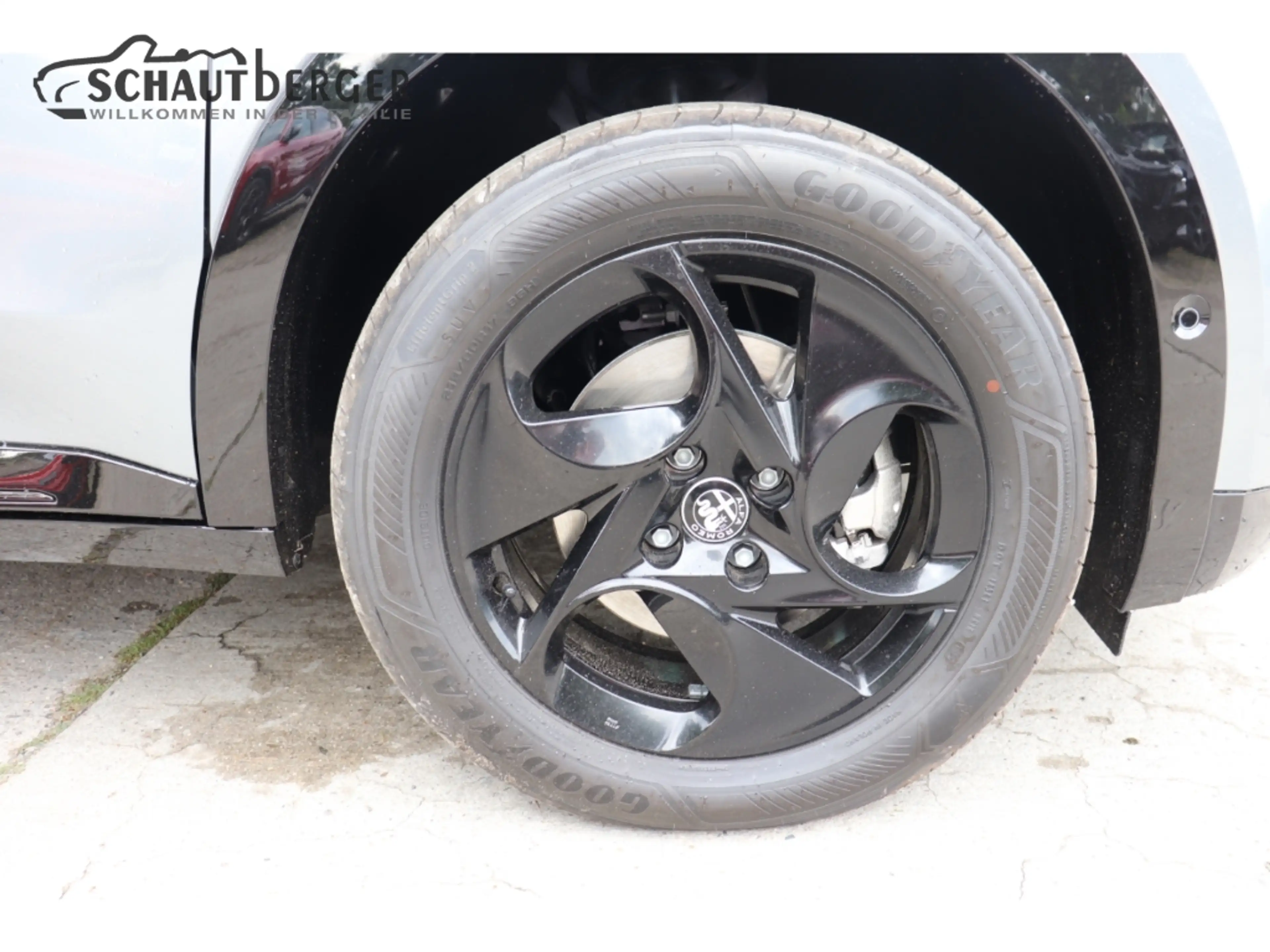 Alfa Romeo Junior Ibrida 1.2 VGT 48V-Hybrid 107 kW Sprint Navi Digit — photo 10