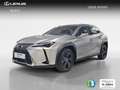 Lexus UX 300h 2.0  Plus Silber - thumbnail 1
