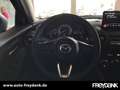 Mazda 2 1.5L e-SKYACTIV G 90ps HOMURA, NAVI Grau - thumbnail 15