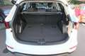 Hyundai SANTA FE Santa Fe 2.4 Family Klima/BC/Tempomat/L-R Sensor Weiß - thumbnail 28