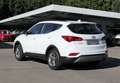 Hyundai SANTA FE Santa Fe 2.4 Family Klima/BC/Tempomat/L-R Sensor Weiß - thumbnail 5