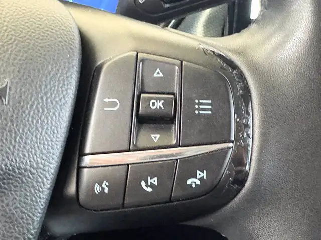 Ford Focus view 20