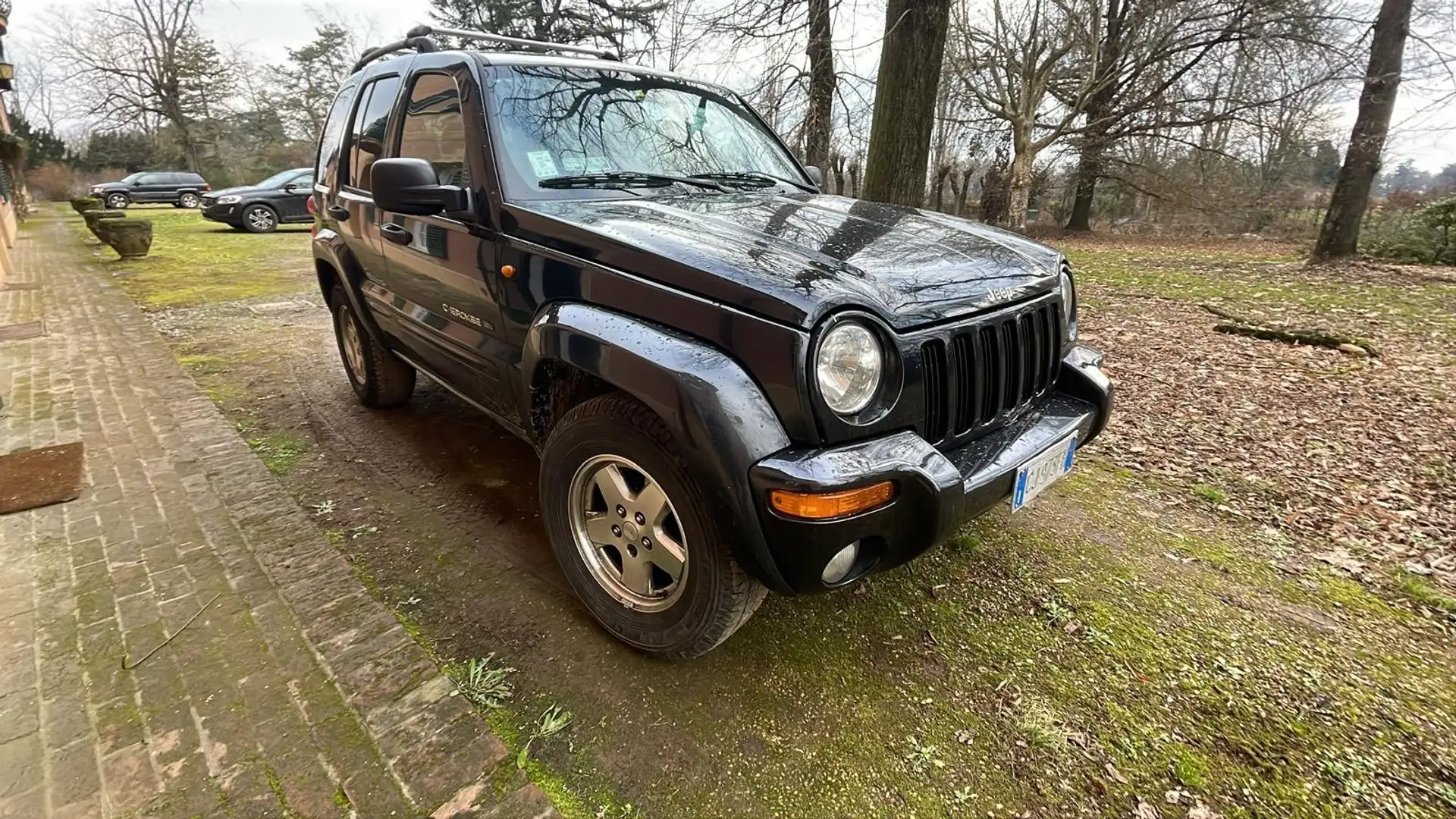 Jeep Liberty 2.8 crd v6 - 1