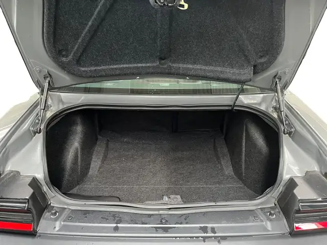 Dodge Challenger view 16