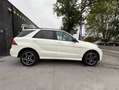 Mercedes-Benz GLE 350 d 4-Matic - ! Pack AMG ! - Cam.360° - Eu6b Blanc - thumbnail 4