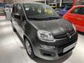 Fiat Panda Easy Gris - thumbnail 2