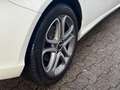 Mercedes-Benz A 180 *BlueEfficiency*Automatik*Scheckheft*Pano* Weiß - thumbnail 5