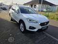 SEAT Tarraco 1.5 Style DSG 7 Sitzer AHK Navi Parklenk el. He... Alb - thumbnail 5