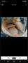 BMW X5 3.0d - thumbnail 6