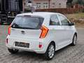 Kia Picanto Picanto 1.0i Sense ISG Blanc - thumbnail 14