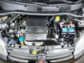 Fiat Panda Panda 1.2 Easy easypower Gpl 69cv my19 * PROMO * Noir - thumbnail 14